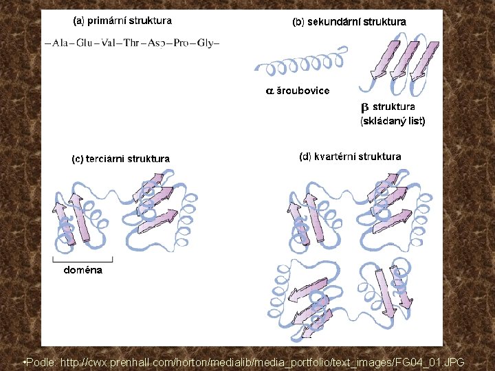  • Podle: http: //cwx. prenhall. com/horton/medialib/media_portfolio/text_images/FG 04_01. JPG 