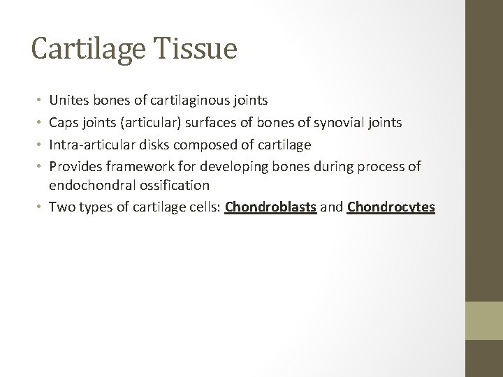 Cartilage Tissue Unites bones of cartilaginous joints Caps joints (articular) surfaces of bones of