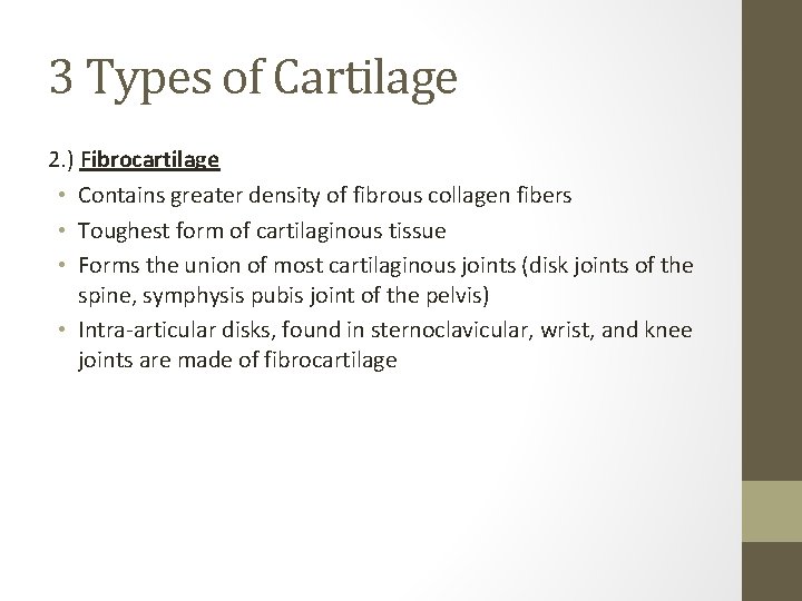 3 Types of Cartilage 2. ) Fibrocartilage • Contains greater density of fibrous collagen
