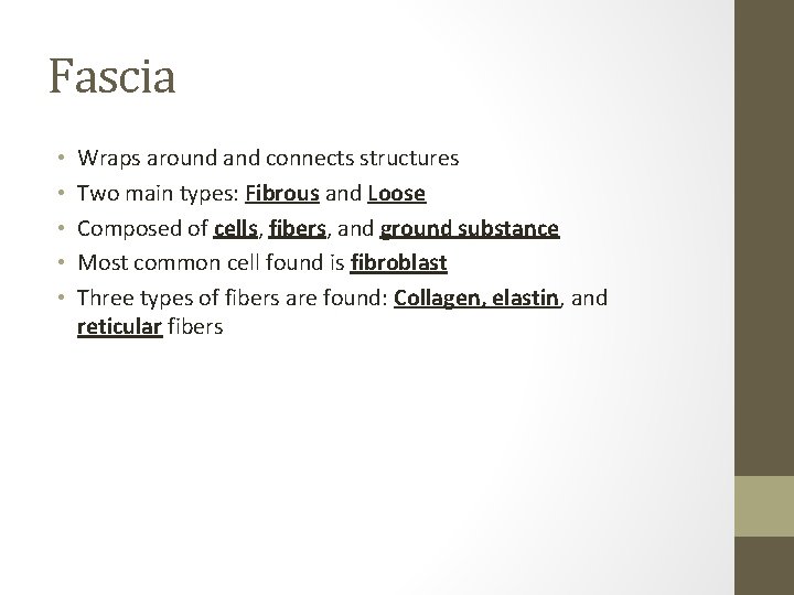 Fascia • • • Wraps around and connects structures Two main types: Fibrous and