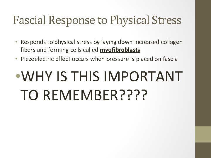 Fascial Response to Physical Stress • Responds to physical stress by laying down increased