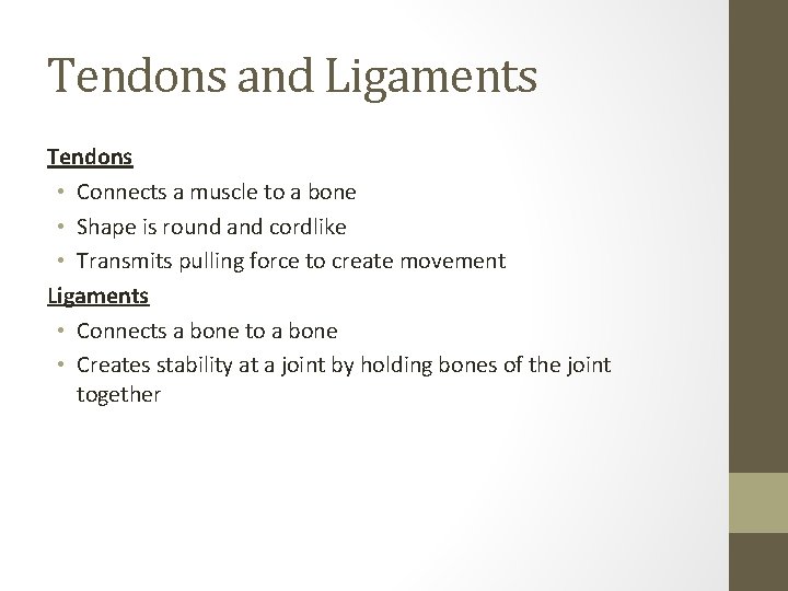 Tendons and Ligaments Tendons • Connects a muscle to a bone • Shape is