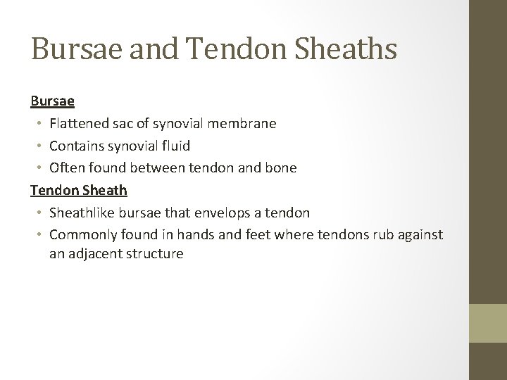 Bursae and Tendon Sheaths Bursae • Flattened sac of synovial membrane • Contains synovial