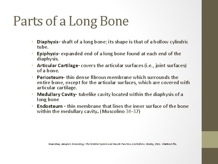 Parts of a Long Bone • Diaphysis- shaft of a long bone; its shape