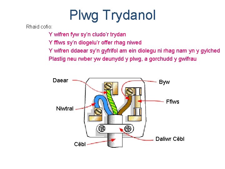 Plwg Trydanol Rhaid cofio: Y wifren fyw sy’n cludo’r trydan Y ffiws sy’n diogelu’r