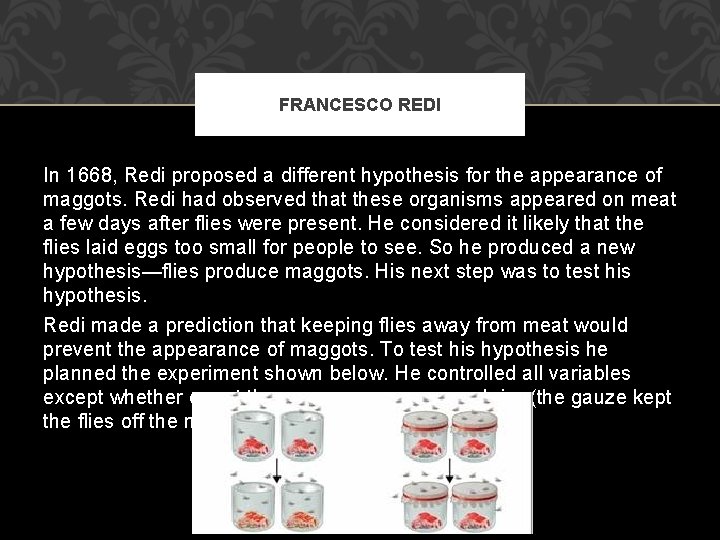 FRANCESCO REDI In 1668, Redi proposed a different hypothesis for the appearance of maggots.