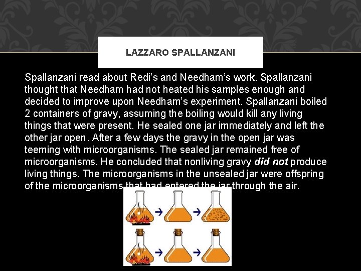 LAZZARO SPALLANZANI Spallanzani read about Redi’s and Needham’s work. Spallanzani thought that Needham had