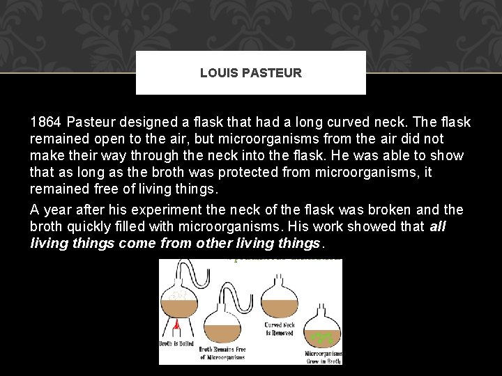 LOUIS PASTEUR 1864 Pasteur designed a flask that had a long curved neck. The