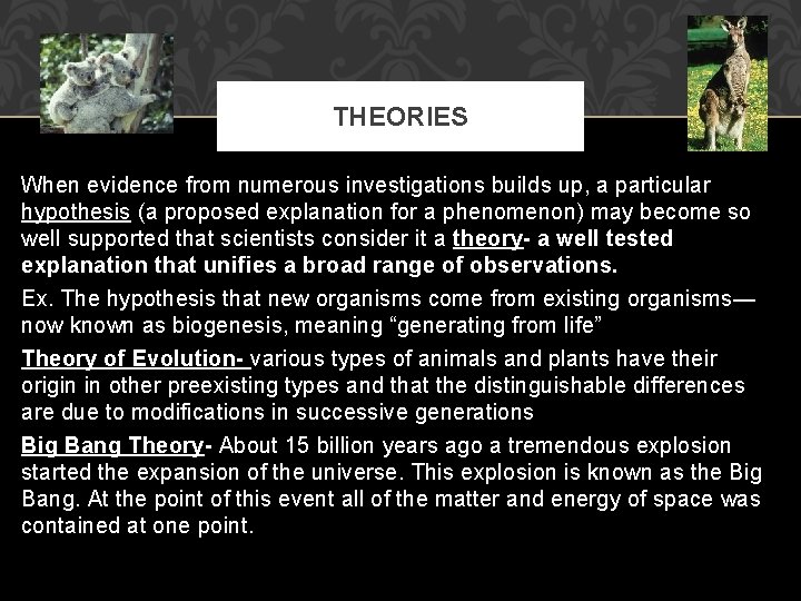 THEORIES When evidence from numerous investigations builds up, a particular hypothesis (a proposed explanation