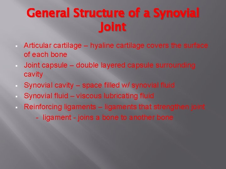 General Structure of a Synovial Joint § § § Articular cartilage – hyaline cartilage