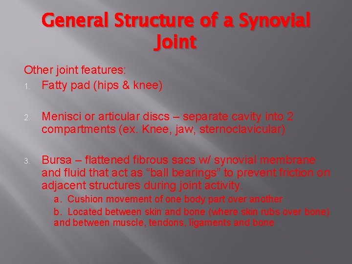 General Structure of a Synovial Joint Other joint features: 1. Fatty pad (hips &