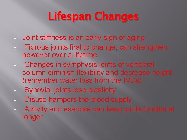 Lifespan Changes • • • Joint stiffness is an early sign of aging Fibrous