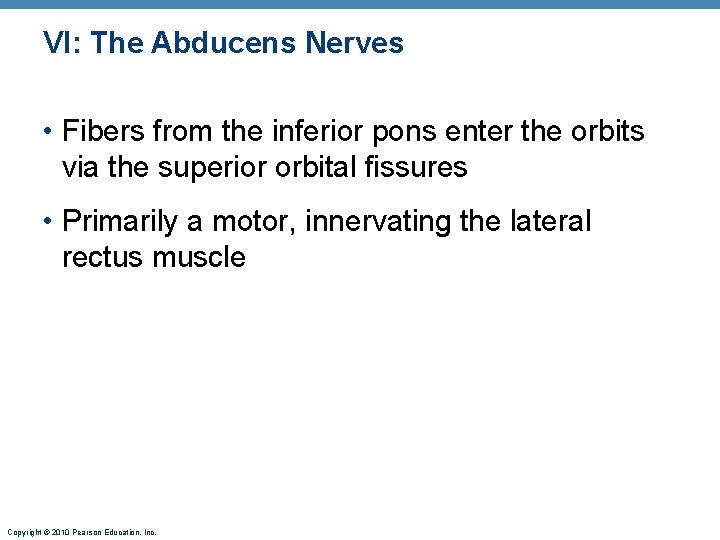 VI: The Abducens Nerves • Fibers from the inferior pons enter the orbits via