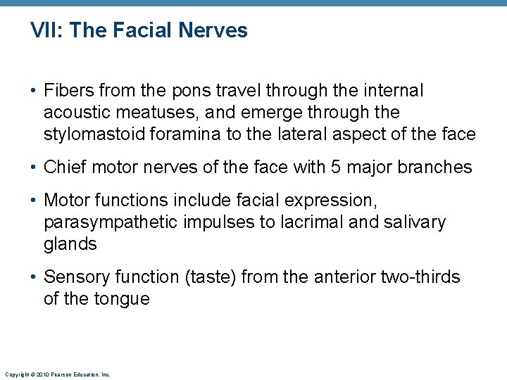 VII: The Facial Nerves • Fibers from the pons travel through the internal acoustic