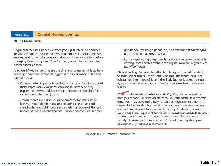 Copyright © 2010 Pearson Education, Inc. Table 13. 2 