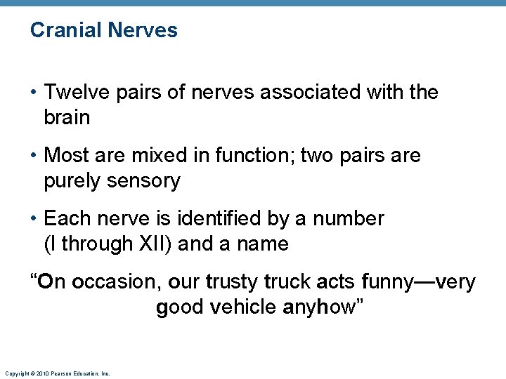Cranial Nerves • Twelve pairs of nerves associated with the brain • Most are