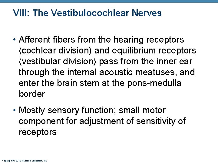 VIII: The Vestibulocochlear Nerves • Afferent fibers from the hearing receptors (cochlear division) and