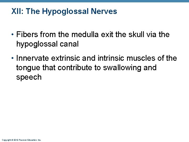 XII: The Hypoglossal Nerves • Fibers from the medulla exit the skull via the