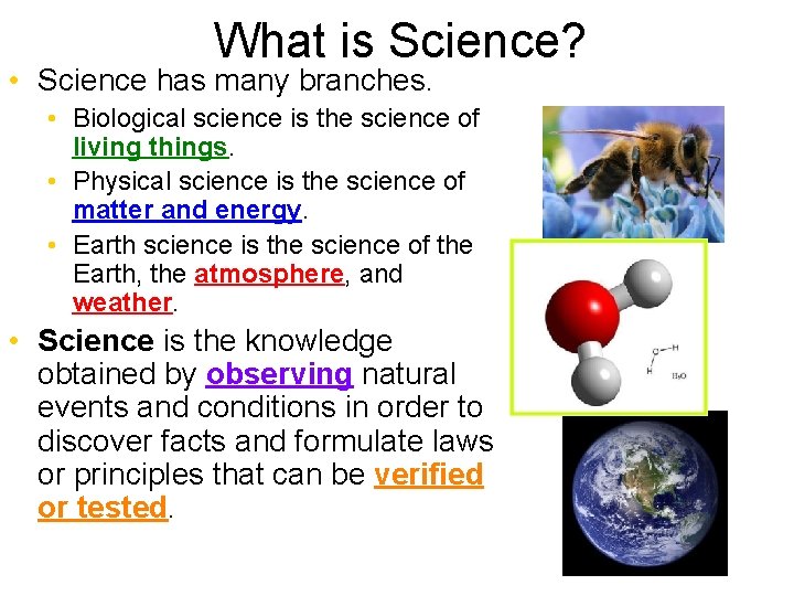 What is Science? • Science has many branches. • Biological science is the science