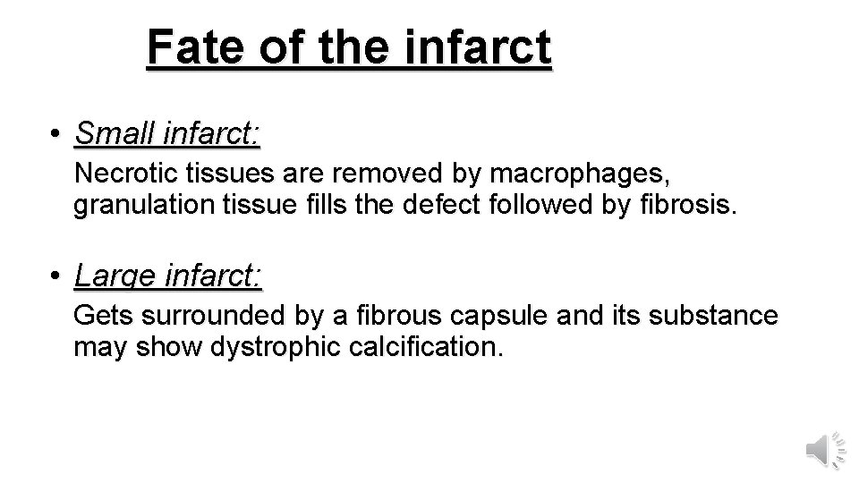 Fate of the infarct • Small infarct: Necrotic tissues are removed by macrophages, granulation