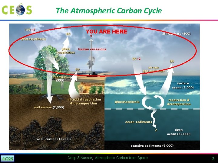 The Atmospheric Carbon Cycle YOU ARE HERE Crisp & Nassar, Atmospheric Carbon from Space