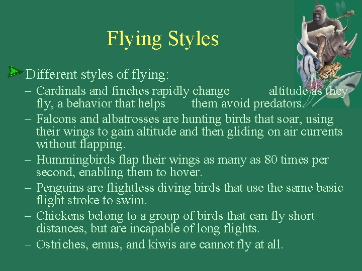 Flying Styles Different styles of flying: – Cardinals and finches rapidly change altitude as