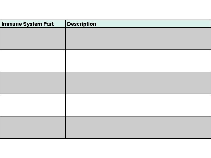 Immune System Part Description 