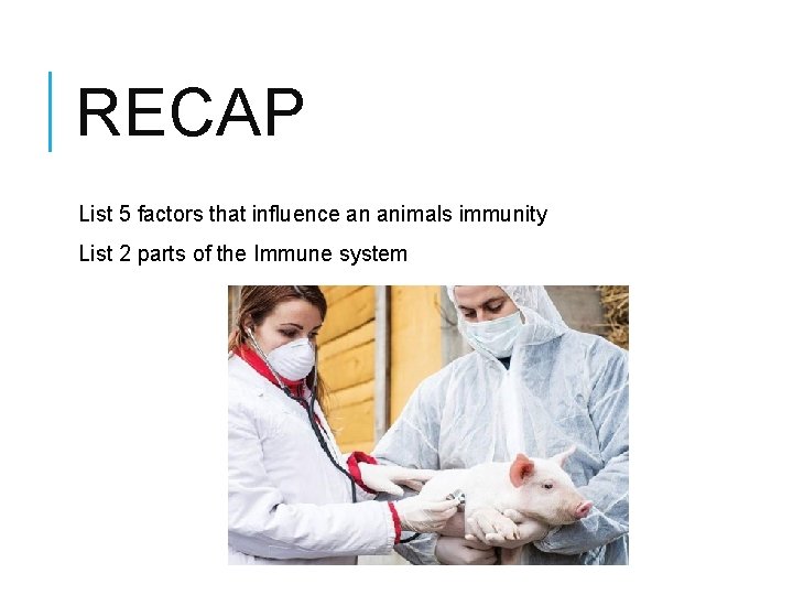 RECAP List 5 factors that influence an animals immunity List 2 parts of the