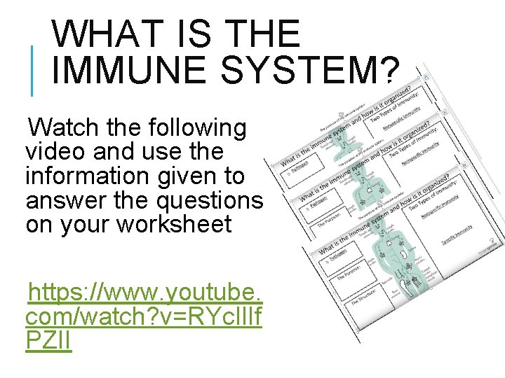 WHAT IS THE IMMUNE SYSTEM? Watch the following video and use the information given