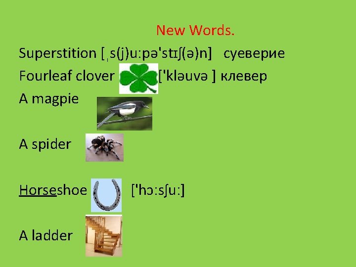 New Words. Superstition [ˌs(j)uːpə'stɪʃ(ə)n] суеверие Fourleaf clover ['kləuvə ] клевер A magpie A spider