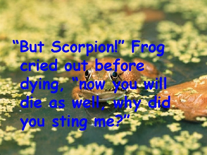 “But Scorpion!” Frog cried out before dying, “now you will die as well, why