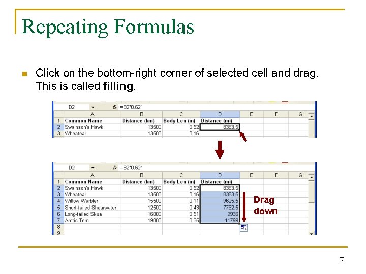 Repeating Formulas n Click on the bottom-right corner of selected cell and drag. This