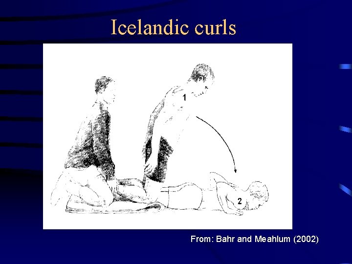 Icelandic curls From: Bahr and Meahlum (2002) 