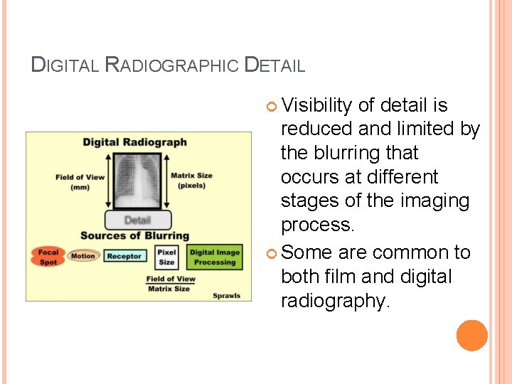DIGITAL RADIOGRAPHIC DETAIL Visibility of detail is reduced and limited by the blurring that