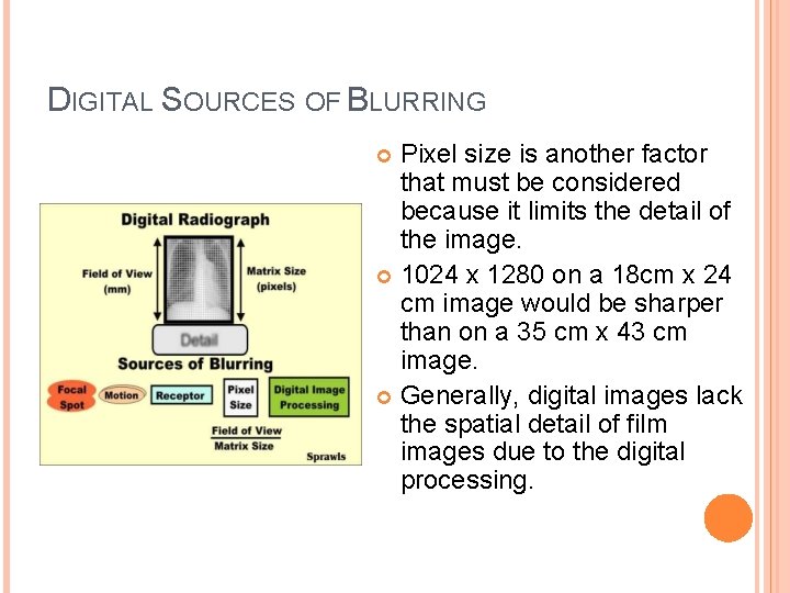 DIGITAL SOURCES OF BLURRING Pixel size is another factor that must be considered because