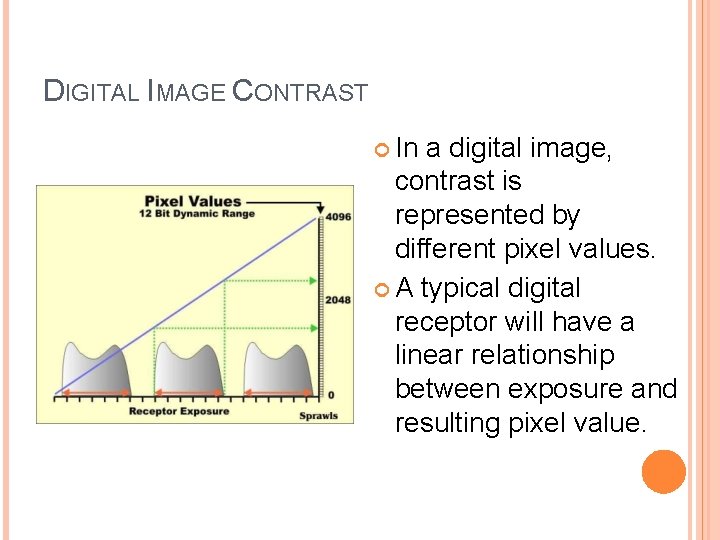 DIGITAL IMAGE CONTRAST In a digital image, contrast is represented by different pixel values.