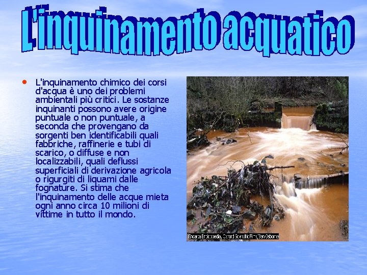  • L'inquinamento chimico dei corsi d'acqua è uno dei problemi ambientali più critici.