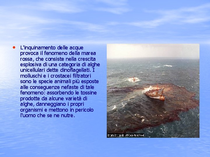  • L'inquinamento delle acque provoca il fenomeno della marea rossa, che consiste nella