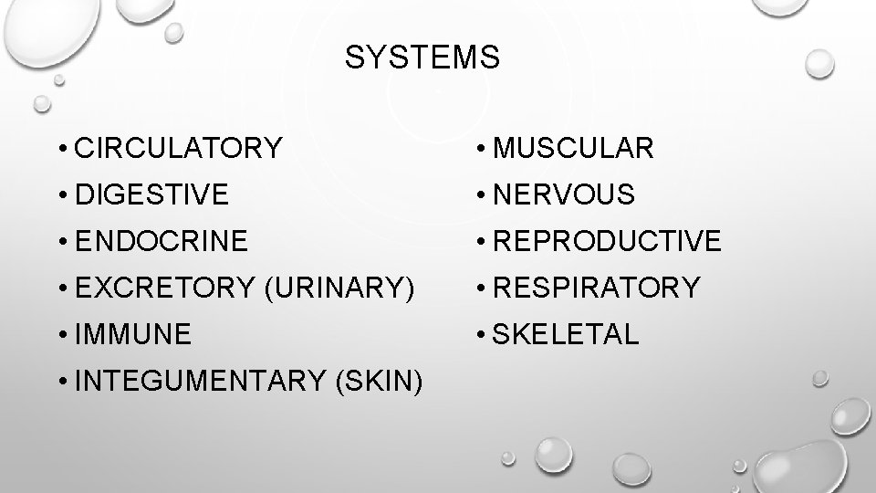 SYSTEMS • CIRCULATORY • MUSCULAR • DIGESTIVE • NERVOUS • ENDOCRINE • REPRODUCTIVE •