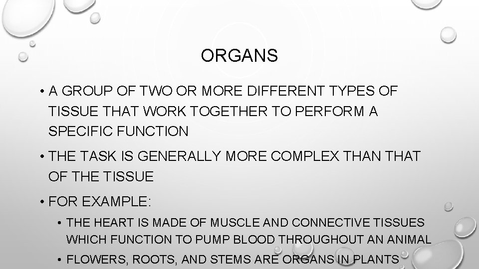 ORGANS • A GROUP OF TWO OR MORE DIFFERENT TYPES OF TISSUE THAT WORK