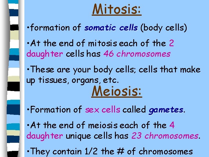 Mitosis: • formation of somatic cells (body cells) • At the end of mitosis