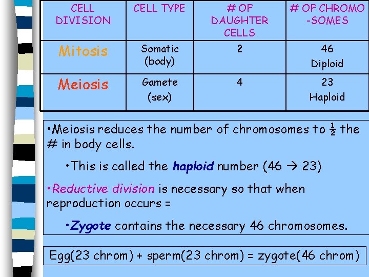 CELL DIVISION CELL TYPE # OF DAUGHTER CELLS # OF CHROMO -SOMES Mitosis Somatic