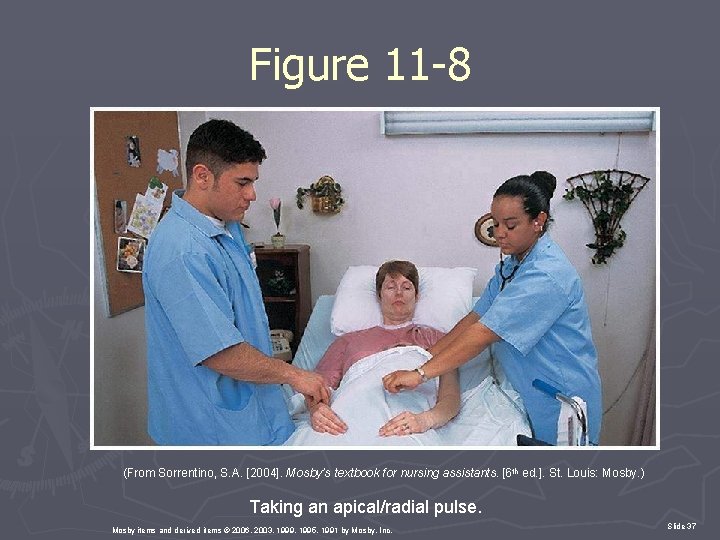 Figure 11 -8 (From Sorrentino, S. A. [2004]. Mosby’s textbook for nursing assistants. [6