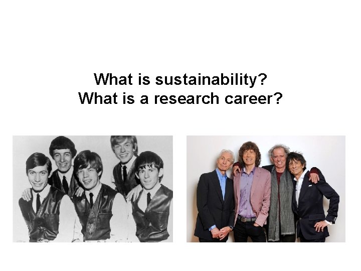 What is sustainability? What is a research career? 