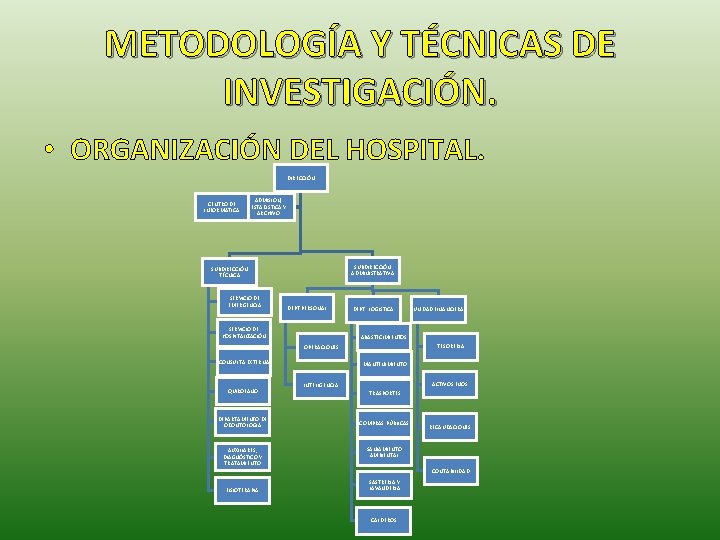 METODOLOGÍA Y TÉCNICAS DE INVESTIGACIÓN. • ORGANIZACIÓN DEL HOSPITAL. DIRECCIÓN CENTRO DE INFORMATICA ADMISION,