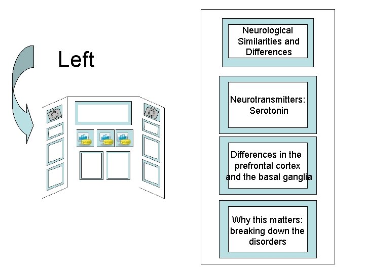 Left Neurological Similarities and Differences Neurotransmitters: Serotonin Differences in the prefrontal cortex and the