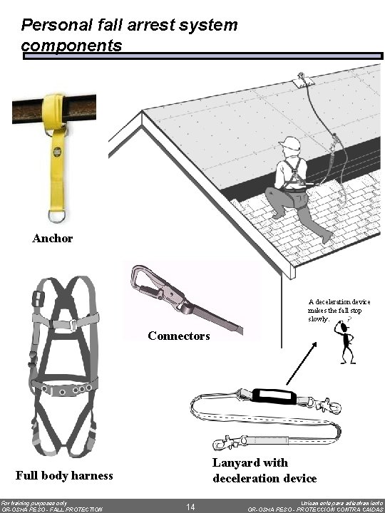 Personal fall arrest system components Anchor A deceleration device makes the fall stop slowly.