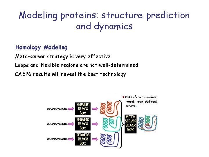 Modeling proteins: structure prediction and dynamics Homology Modeling Meta-server strategy is very effective Loops