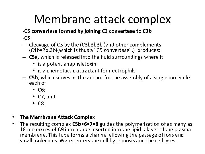 Membrane attack complex -C 5 convertase formed by joining C 3 convertase to C