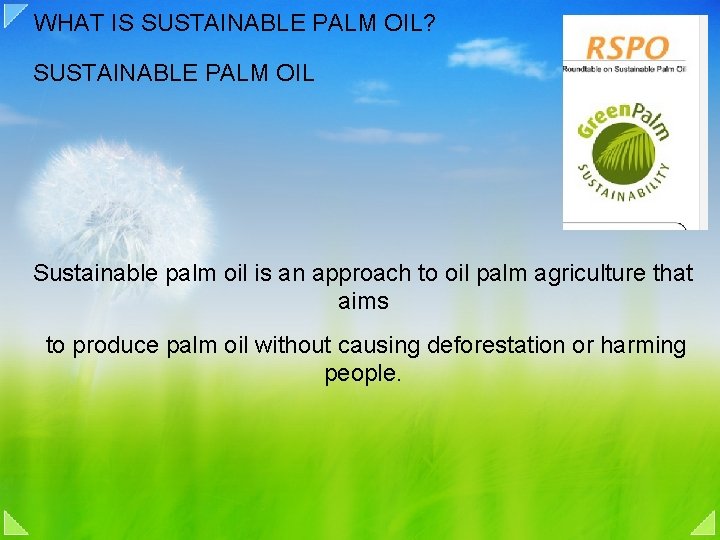 WHAT IS SUSTAINABLE PALM OIL? SUSTAINABLE PALM OIL Sustainable palm oil is an approach